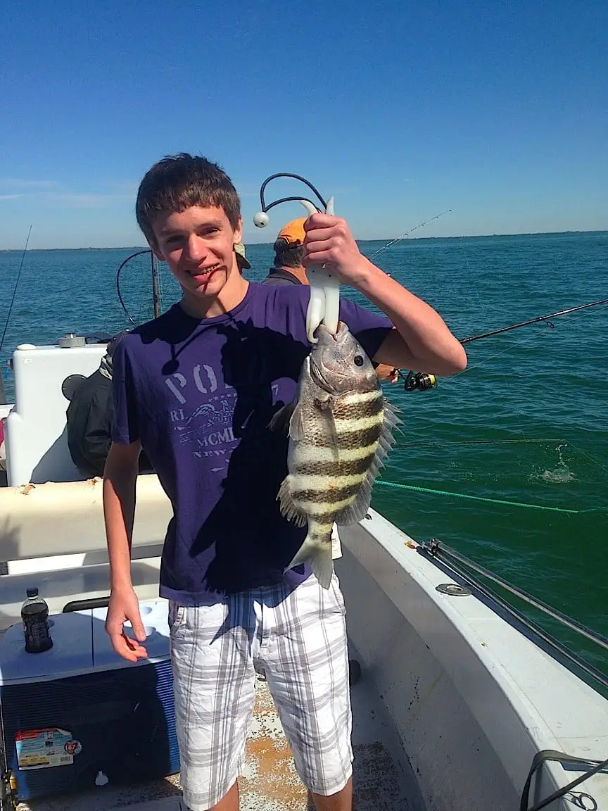 Sheepshead caught offshore on Sanibel on Sanibel & Captiva charters!