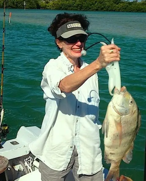 Huge Sheepshead caught offshore of Captiva on Sanibel & Captiva charters!