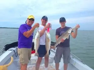 Redfish caught on Buck Key oyster bar, Sanibel & Captiva Islands & Fort Myers Charters & Fishing Guide Service.