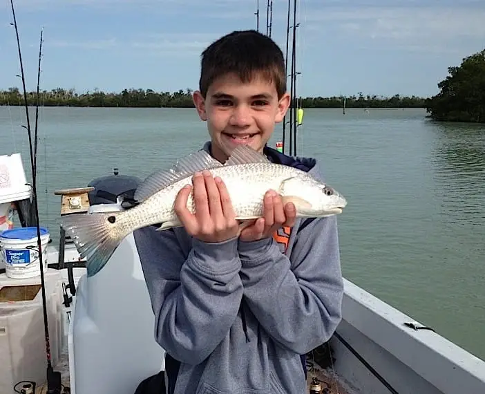 Redfish, March 26, Sanibel & Captiva Islands & Fort Myers Charters & Fishing Guide Service.