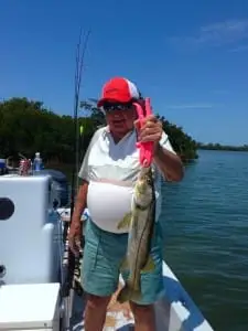 Snook caught while fishing the mangroves, Sanibel & Captiva Islands & Fort Myers Charters & Fishing Guide Service.