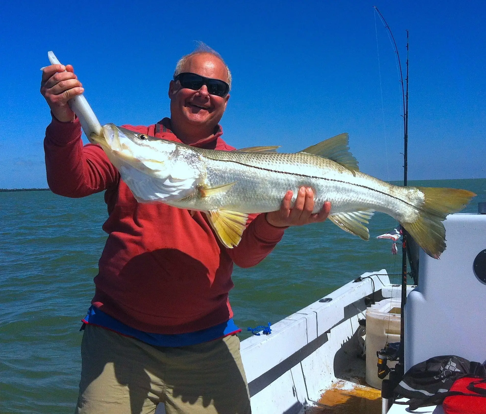 Huge Snook caught off a oyster bar, Sanibel & Captiva Islands & Fort Myers Charters & Fishing Guide Service.