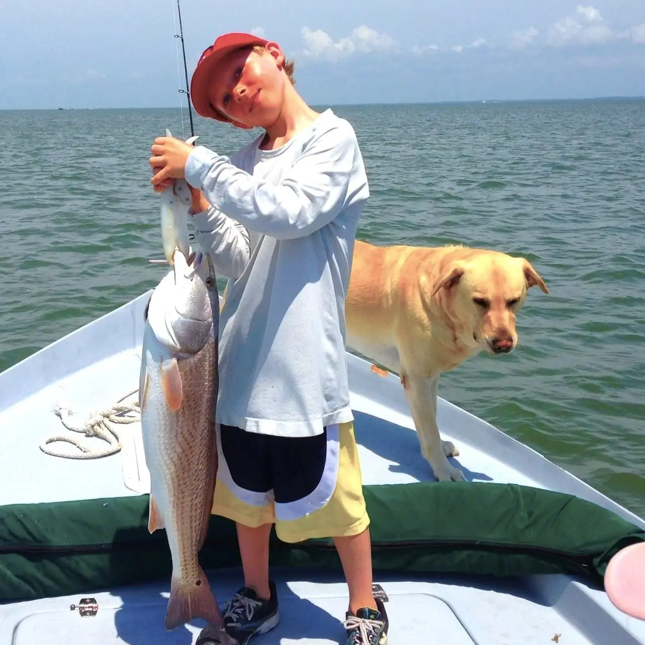Redfish caught by the Sanibel oyster bar, Sanibel & Captiva Islands & Fort Myers Charters & Fishing Guide Service.