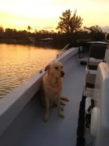 Hank waking up, Sanibel & Captiva Islands & Fort Myers Charters & Fishing Guide Service.  