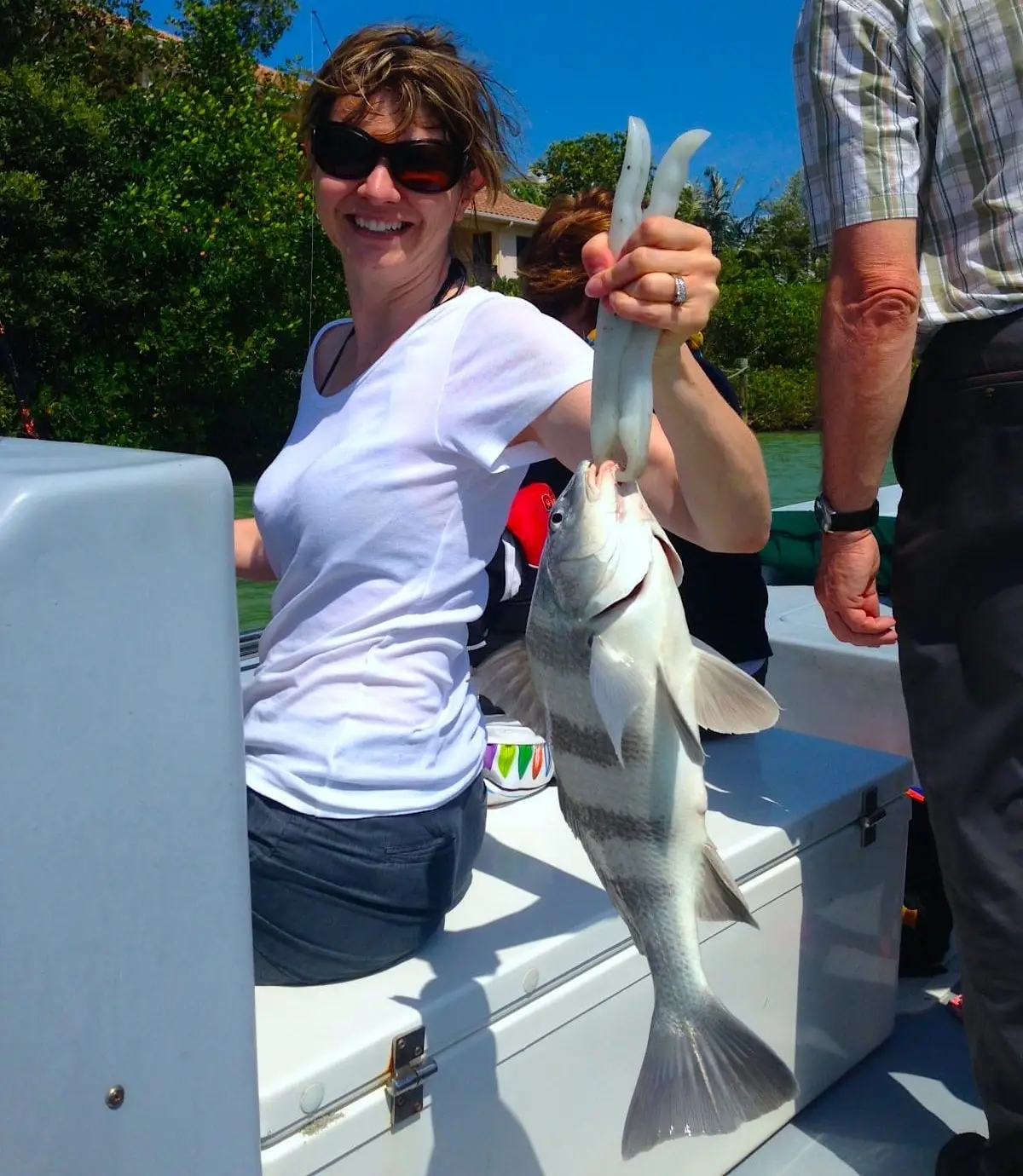Black Drum caught in Blind Pass, Sanibel & Captiva Islands & Fort Myers Charters & Fishing Guide Service.