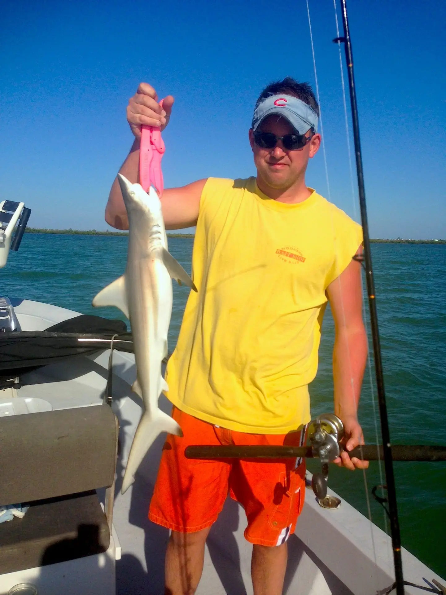 Little Black Tip Shark caught at Fosters, Sanibel & Captiva Islands & Fort Myers Charters & Fishing Guide Service.