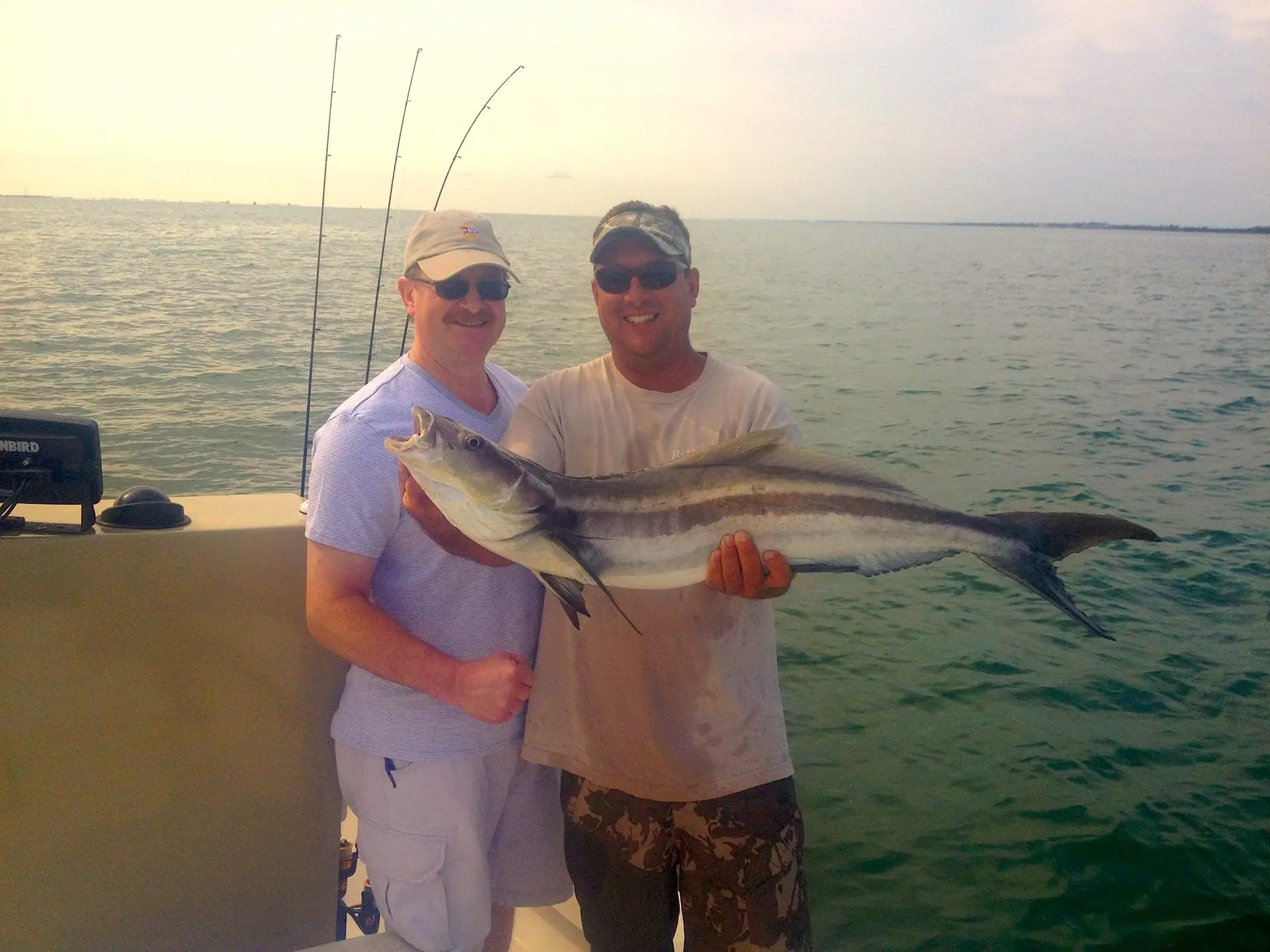 Cobia caught inshore of Captiva , Sanibel & Captiva Islands & Fort Myers Charters & Fishing Guide Service.