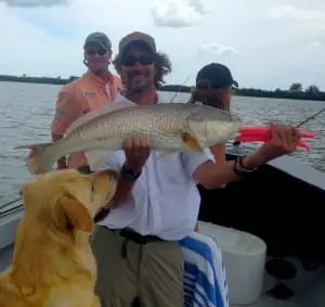 Big Redfish caught off the Sanibel oyster bar, Sanibel & Captiva Islands & Fort Myers Charters & Fishing Guide Service.