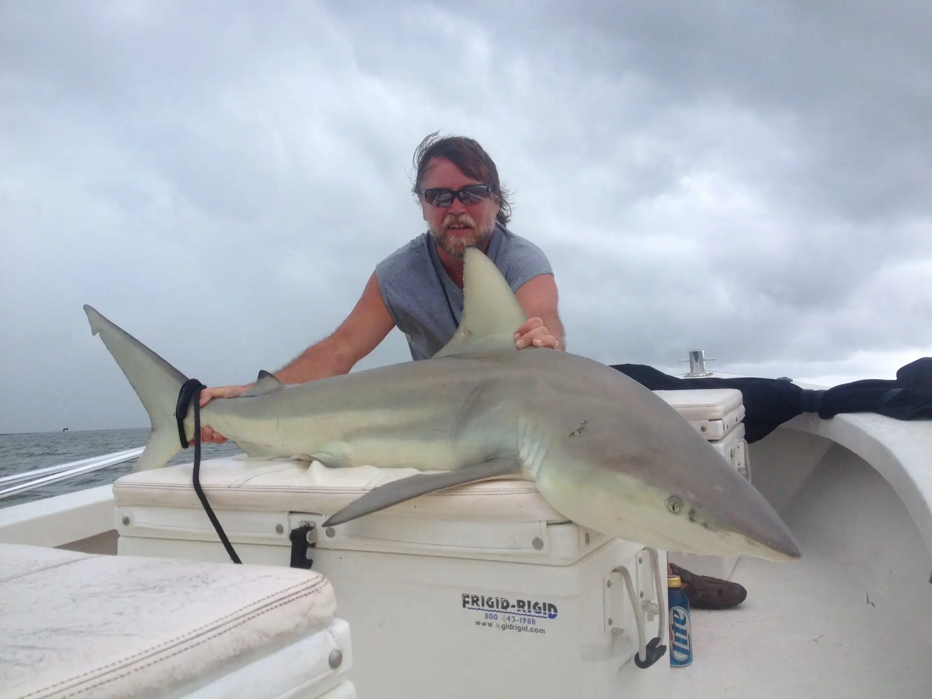 Big Bull Shark caught inshore of Captiva, Sanibel & Captiva Islands & Fort Myers Charters & Fishing Guide Service