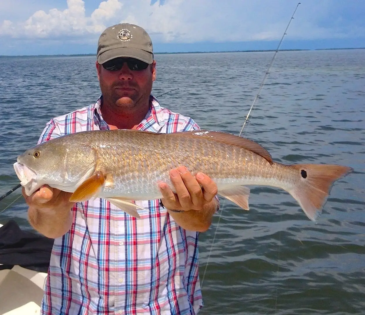 Redfish, 11-20-13, Sanibel Oyster Bar, Sanibel & Captiva Islands & Fort Myers Charters & Fishing Guide Service.