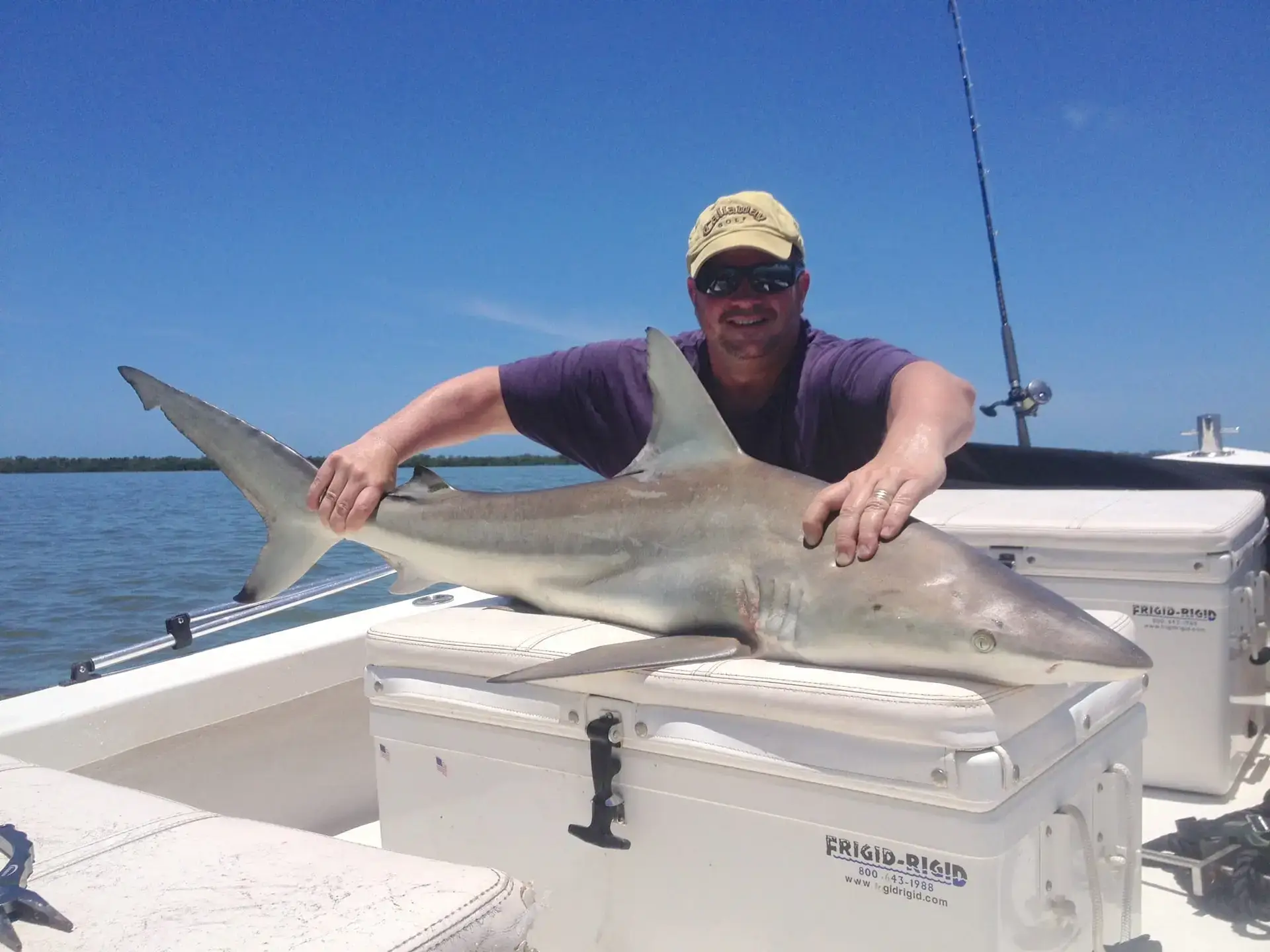 Big Blacktip Shark caught inshore of Captiva, Sanibel & Captiva Islands & Fort Myers Charters & Fishing Guide Service.