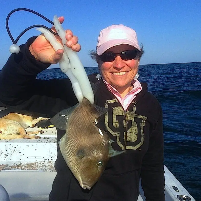 Trigger fish caught offshore of Captiva Island, Sanibel & Captiva Islands & Fort Myers Charters & Fishing Guide Service.