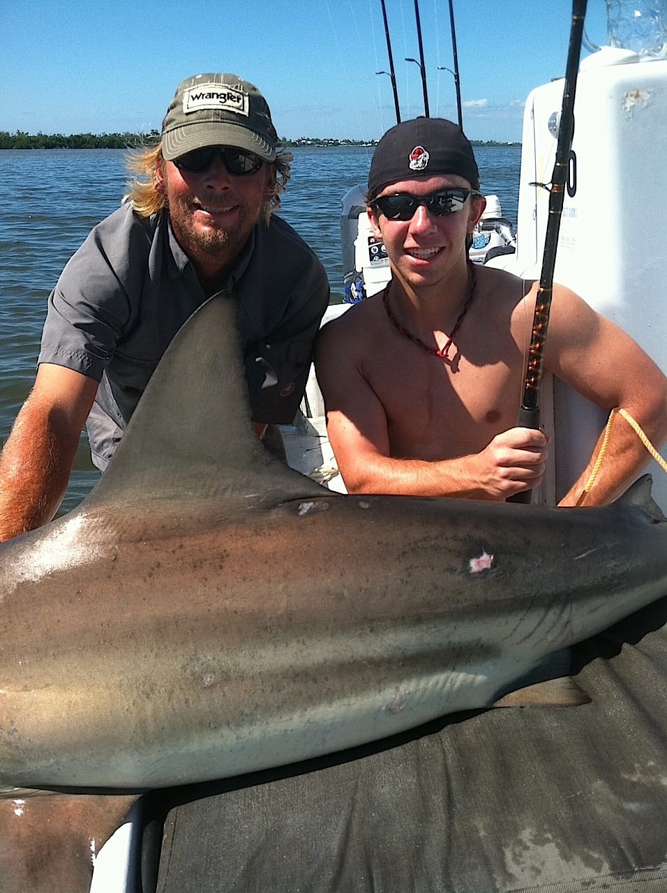 Big Shark, 10-23-13, Sanibel & Captiva Islands & Fort Myers Charters & Fishing Guide Service.