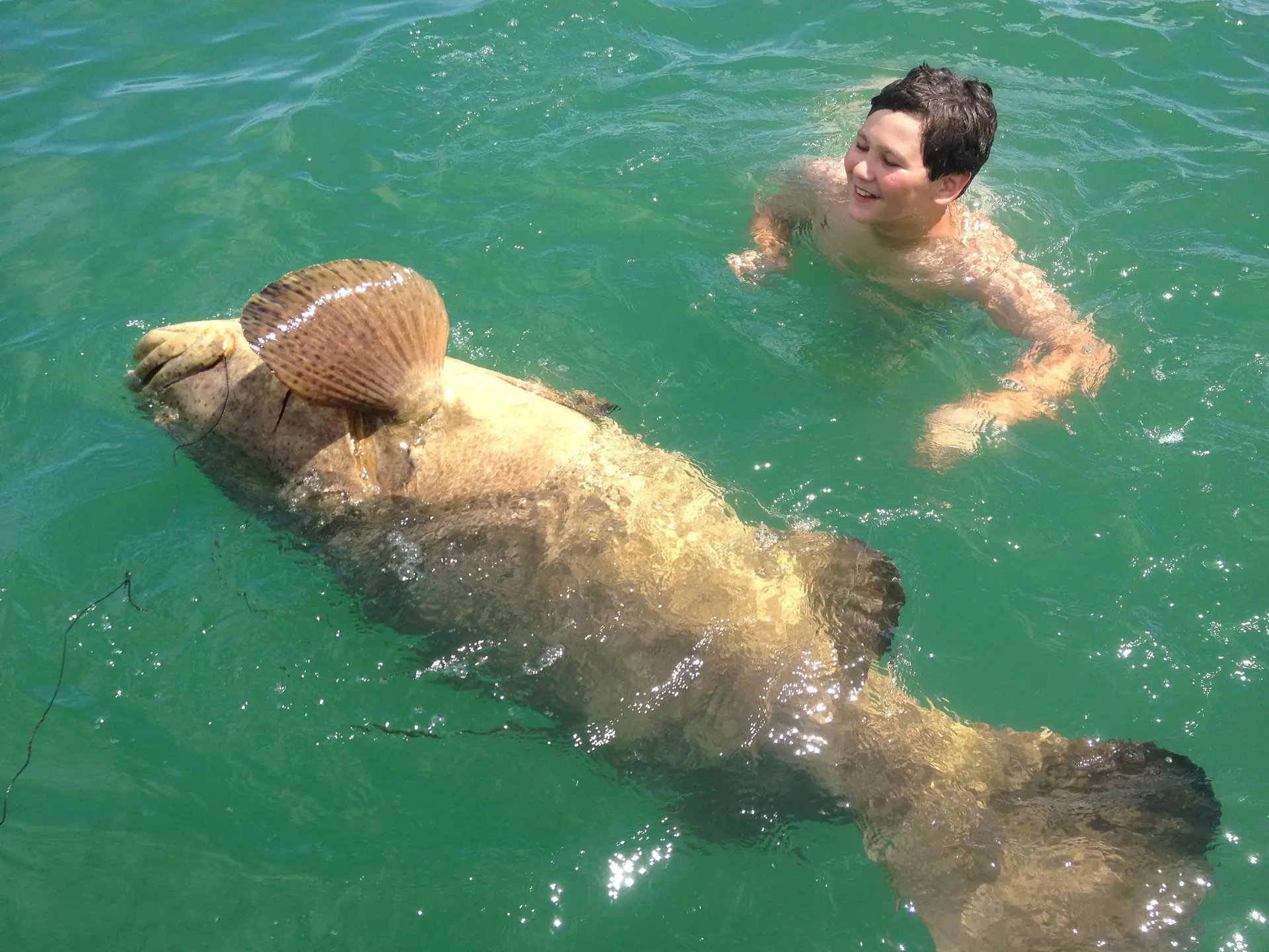 Bradley with 300LB. Goliath, Sanibel & Captiva Islands & Fort Myers Charters & Fishing Guide Service.