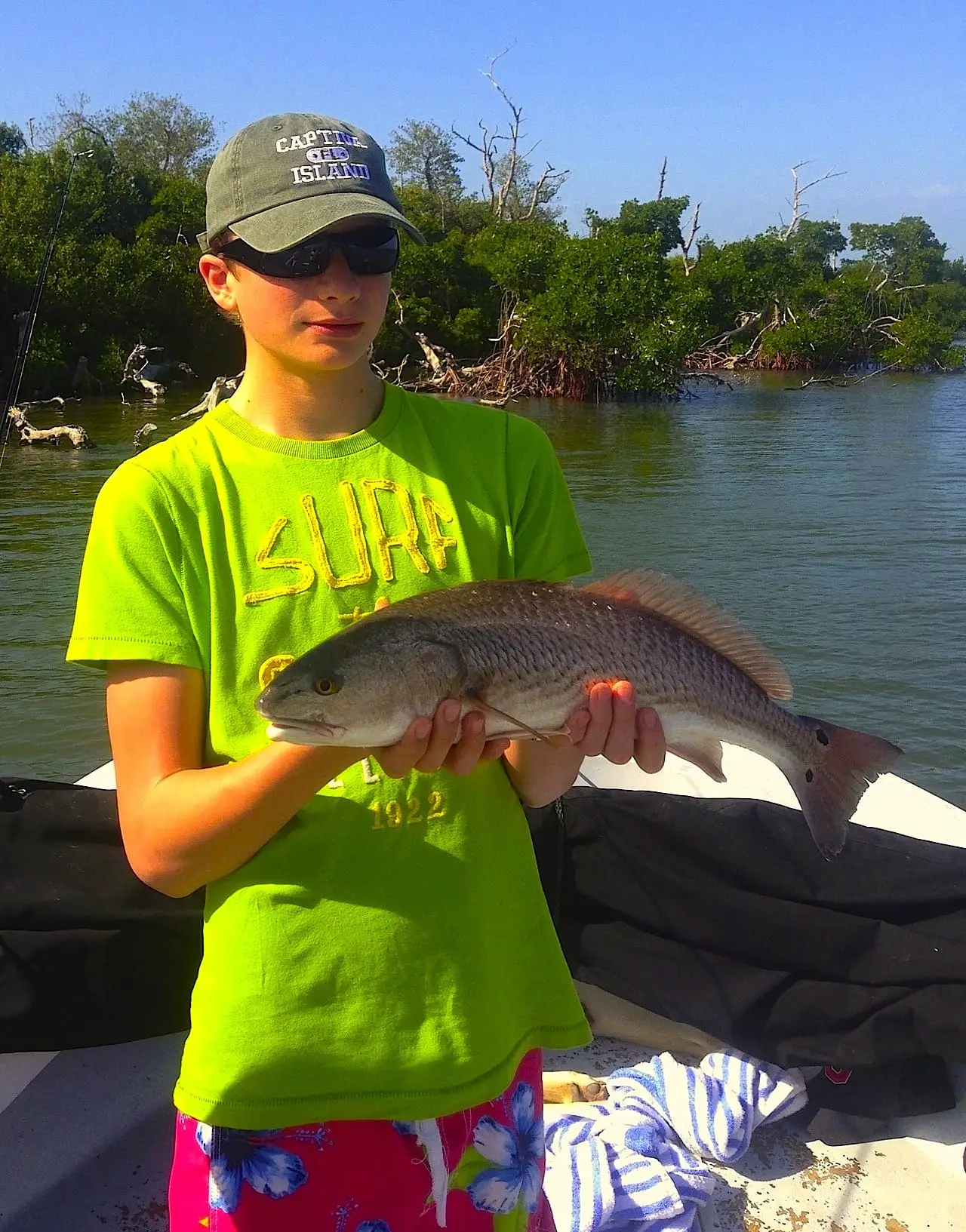Redfish caught off the Sanibel Island mangroves, Sanibel & Captiva Islands & Fort Myers Charters & Fishing Guide Service.