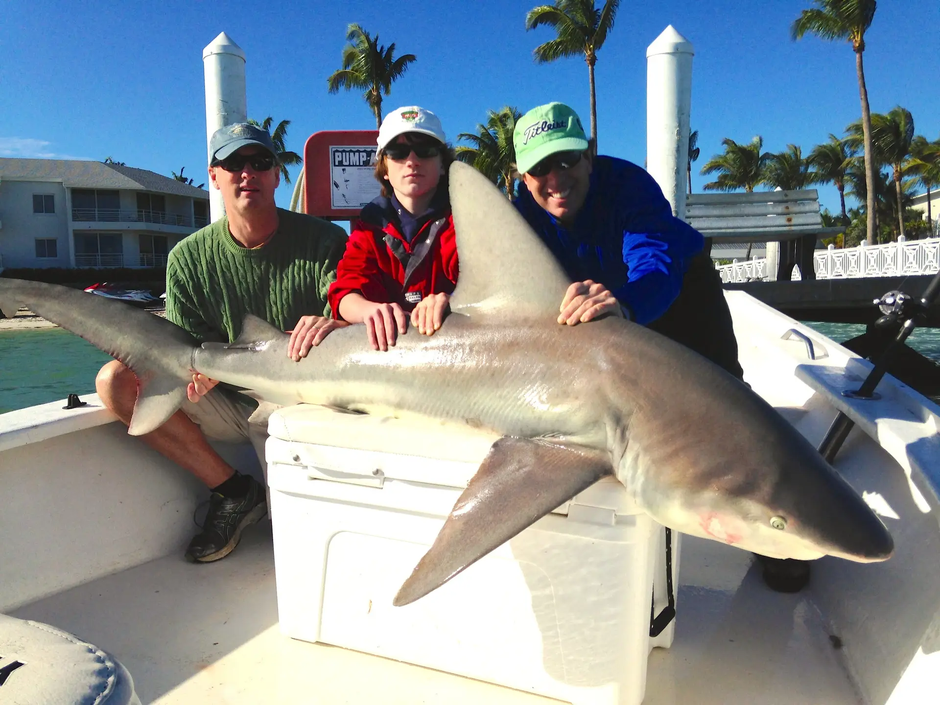 Big Bull Shark caught inshore of Captiva, Sanibel & Captiva Islands & Fort Myers Charters & Fishing Guide Service.