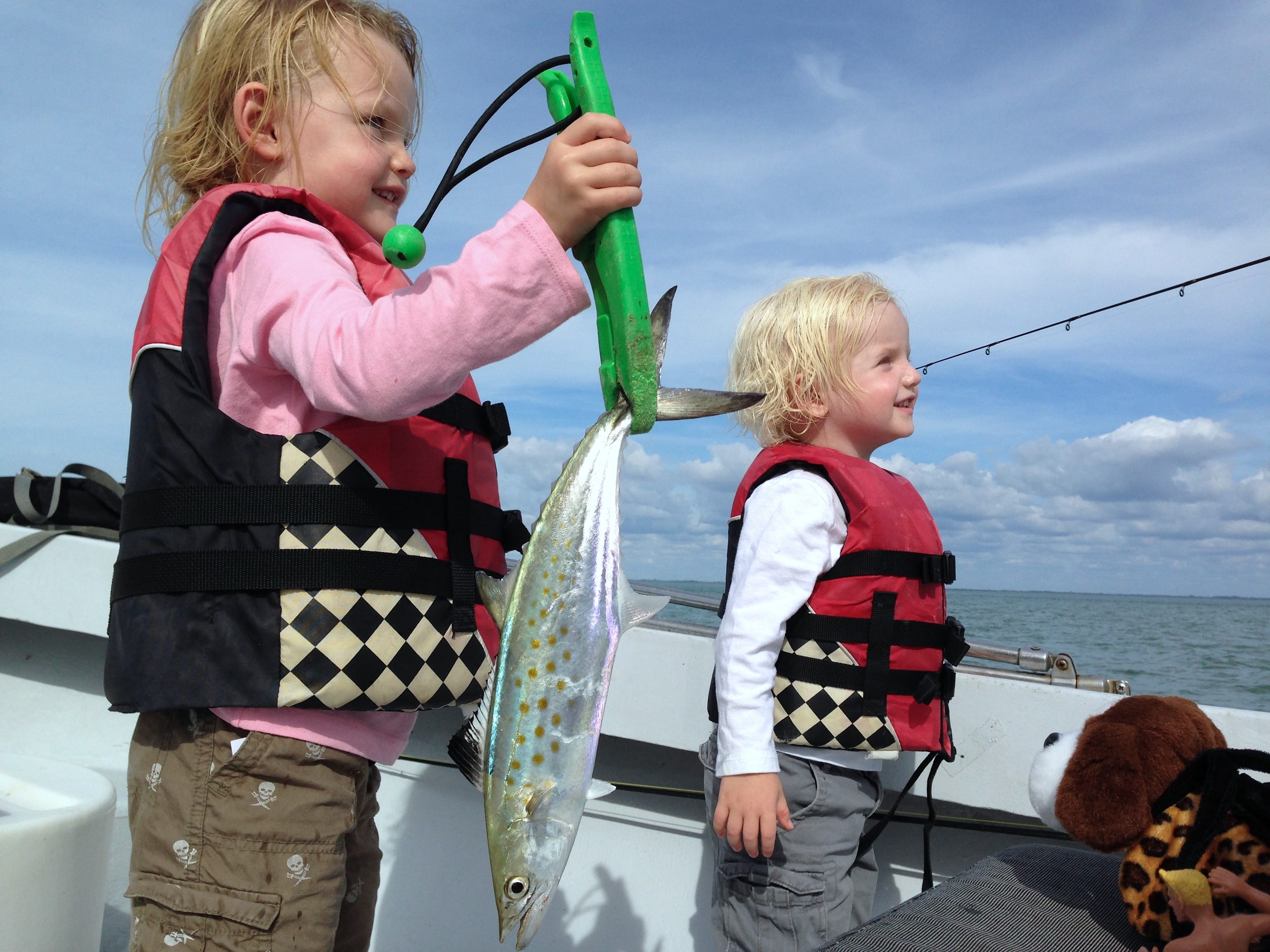 Spanish Mackerel, Sanibel & Captiva Islands & Fort Myers Charters & Fishing Guide Service.