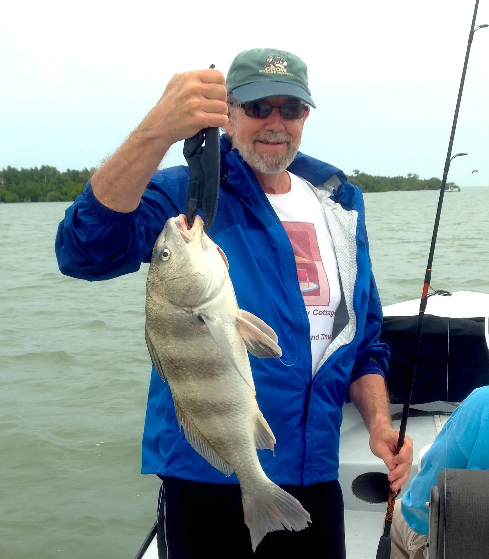 Black Drum caught inshore of Captiva , Sanibel & Captiva Islands & Fort Myers Charters & Fishing Guide Service.