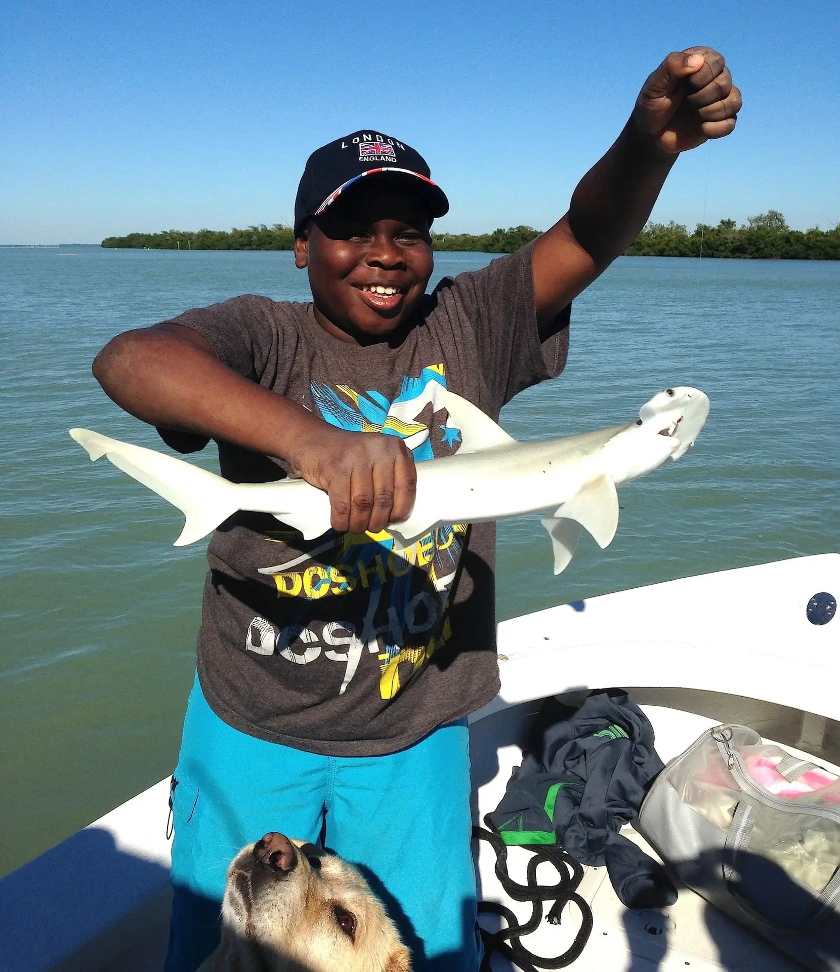 Bonnethead shark caught inshore of Captiva Island, Sanibel & Captiva Islands & Fort Myers Charters & Fishing Guide Service.