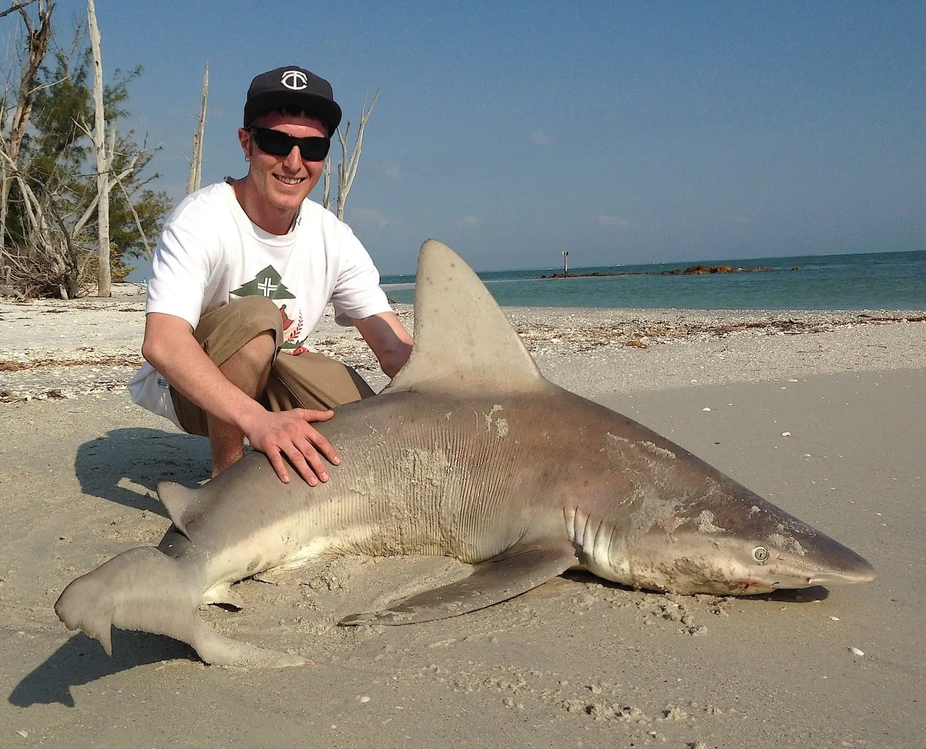 Sandbar Shark, 11-26-14, Redfish Pass, North Captiva, Sanibel & Captiva Islands & Fort Myers Charters & Fishing Guide Service.