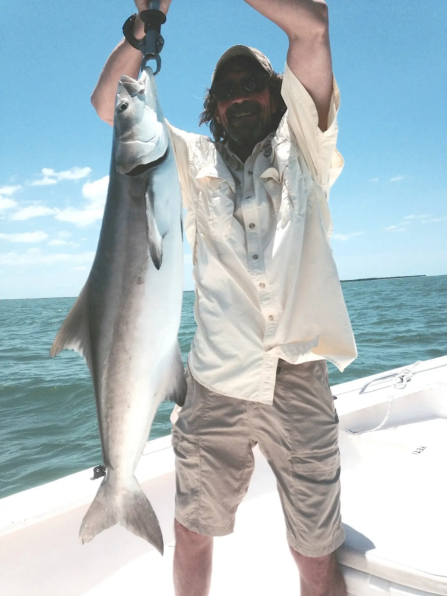 Cobia, Near Offshore, Sanibel Fishing & Captiva Fishing, Sanibel Island, Saturday, September 2, 2017. File Photo.