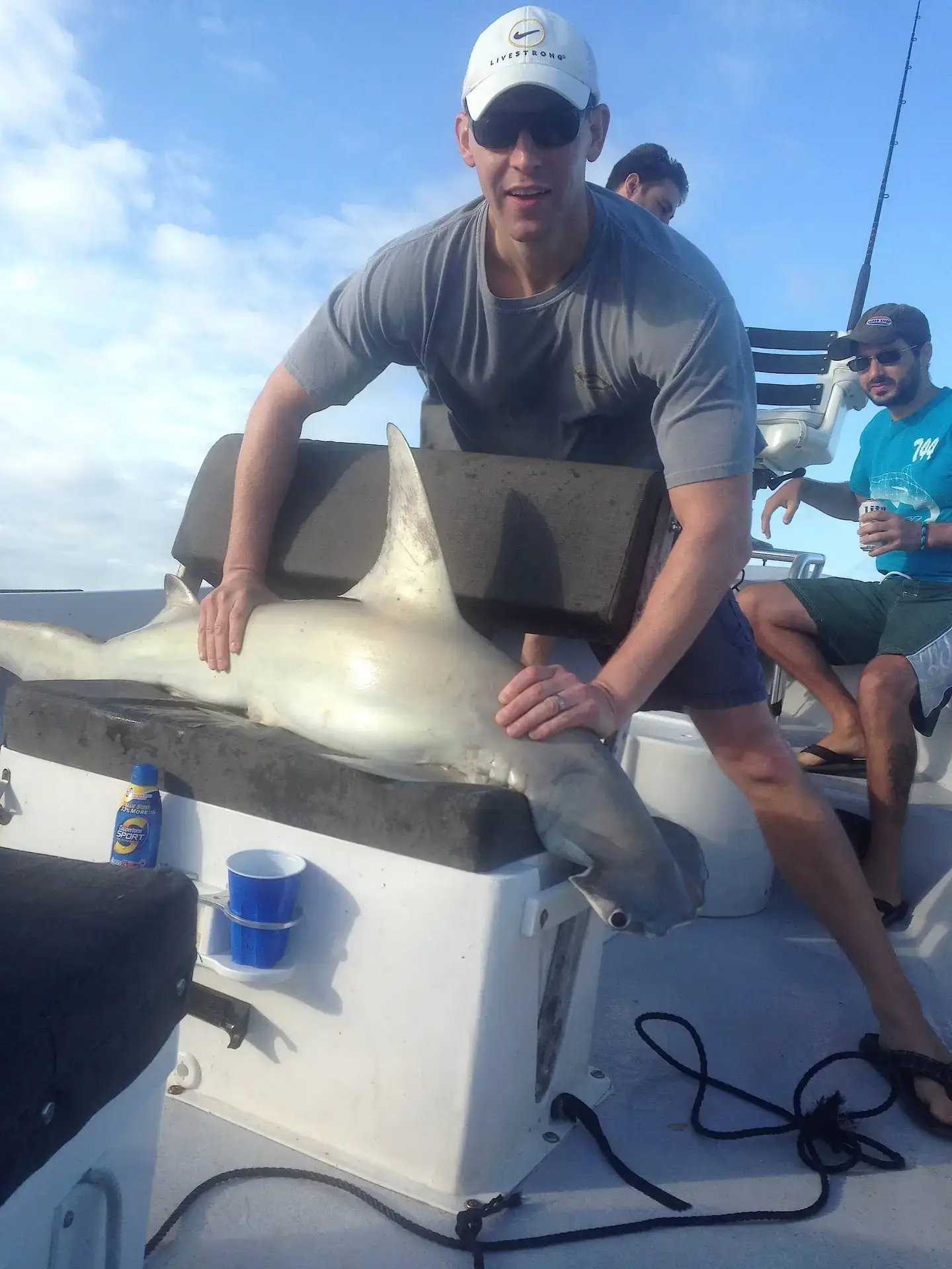 Hammerhead Shark, 5-17-14, Sanibel & Captiva Islands & Fort Myers Charters & Fishing Guide Service.