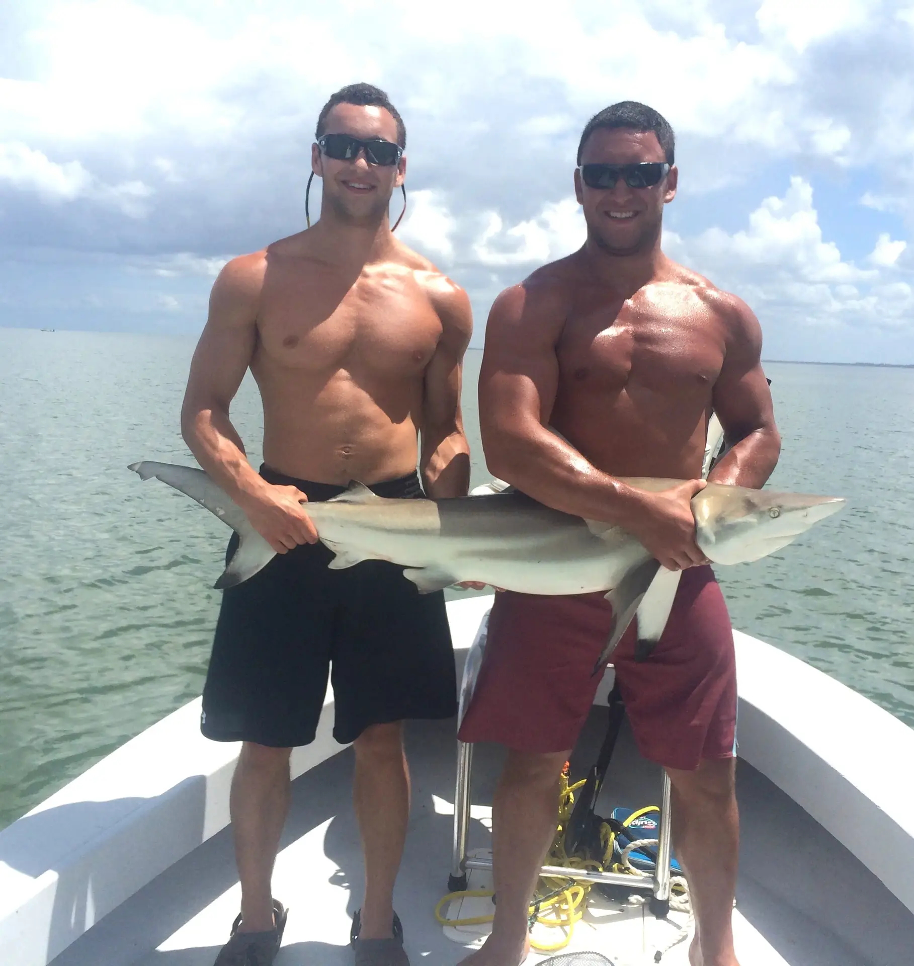 Blacktip Shark, 6-18-14, Sanibel & Captiva Islands & Fort Myers Charters & Fishing Guide Service.