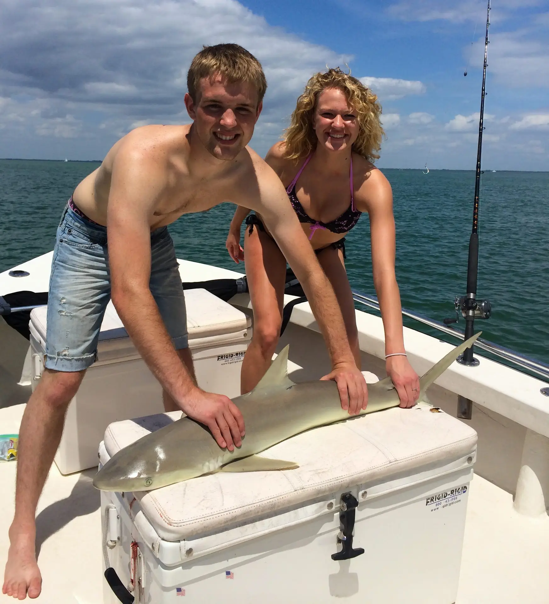 Blacknose shark, 6-4-14, Sanibel & Captiva Islands & Fort Myers Charters & Fishing Guide Service.
