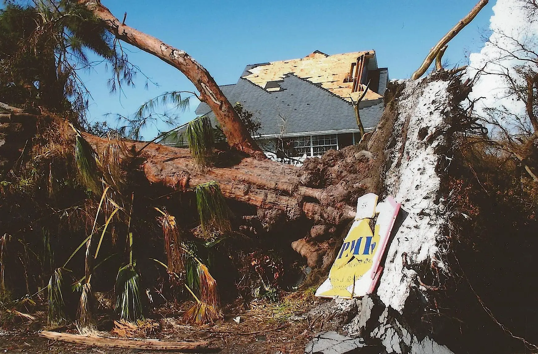 Live Huricane Irma Web Cams, Hurricane Charley 10 Year Anniversary, 8-13-04, Australian Pine, Shallow Roots, Bubble Room, Captiva Island.