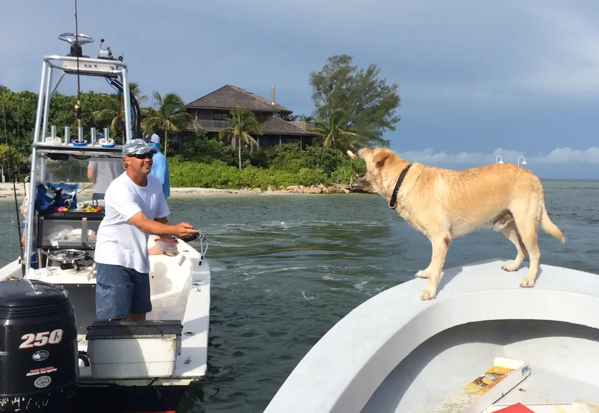Jimmy, Hank, Sandwich, 9-25-14, Sanibel Fishing & Captiva Fishing & Fort Myers Fishing Charters & Guide Service.