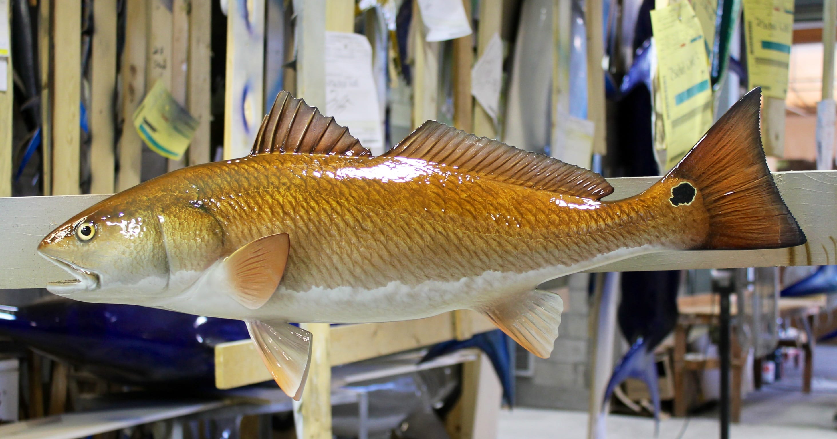 Custom Redfish Mount