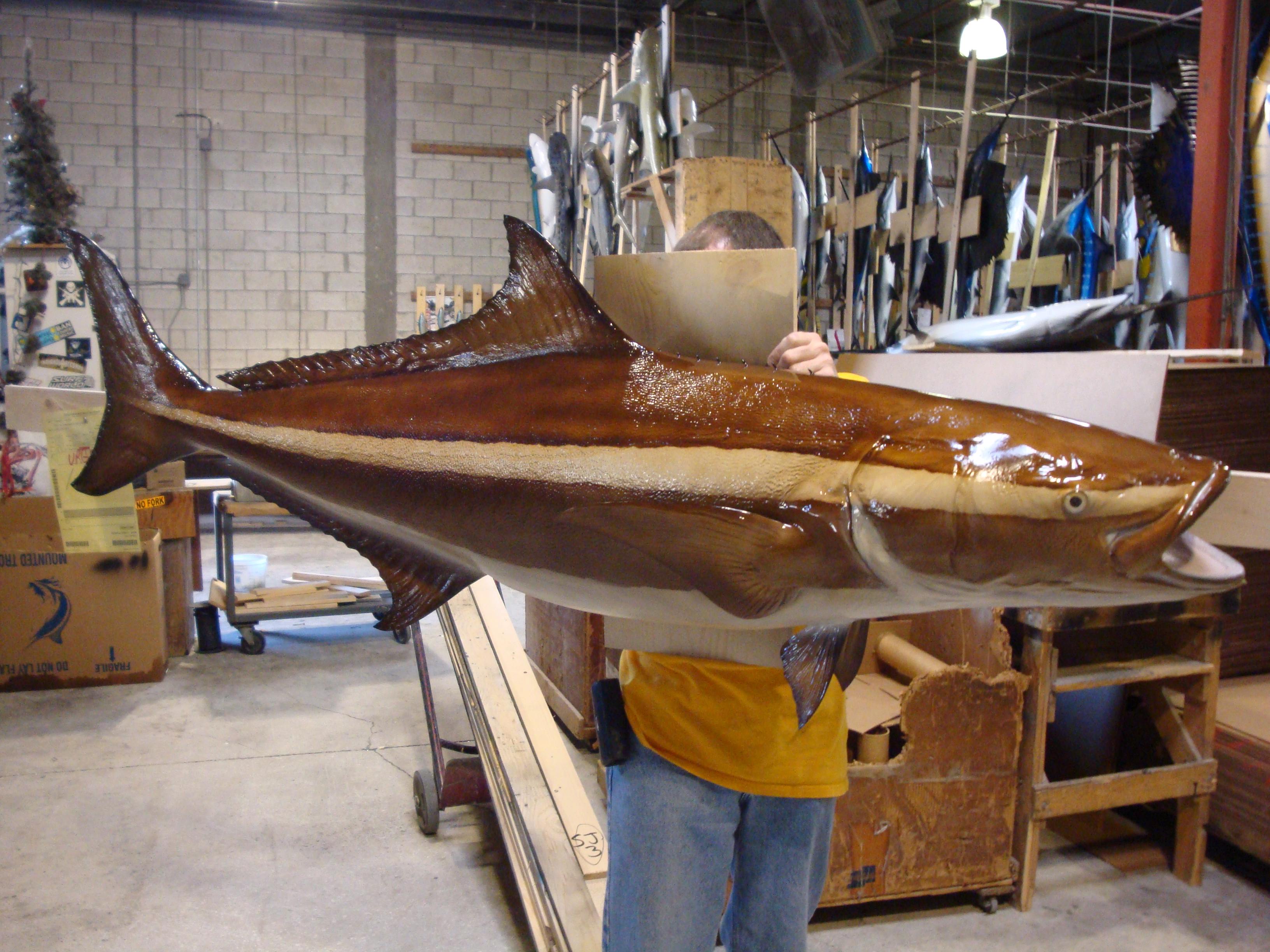 costume cobia mount