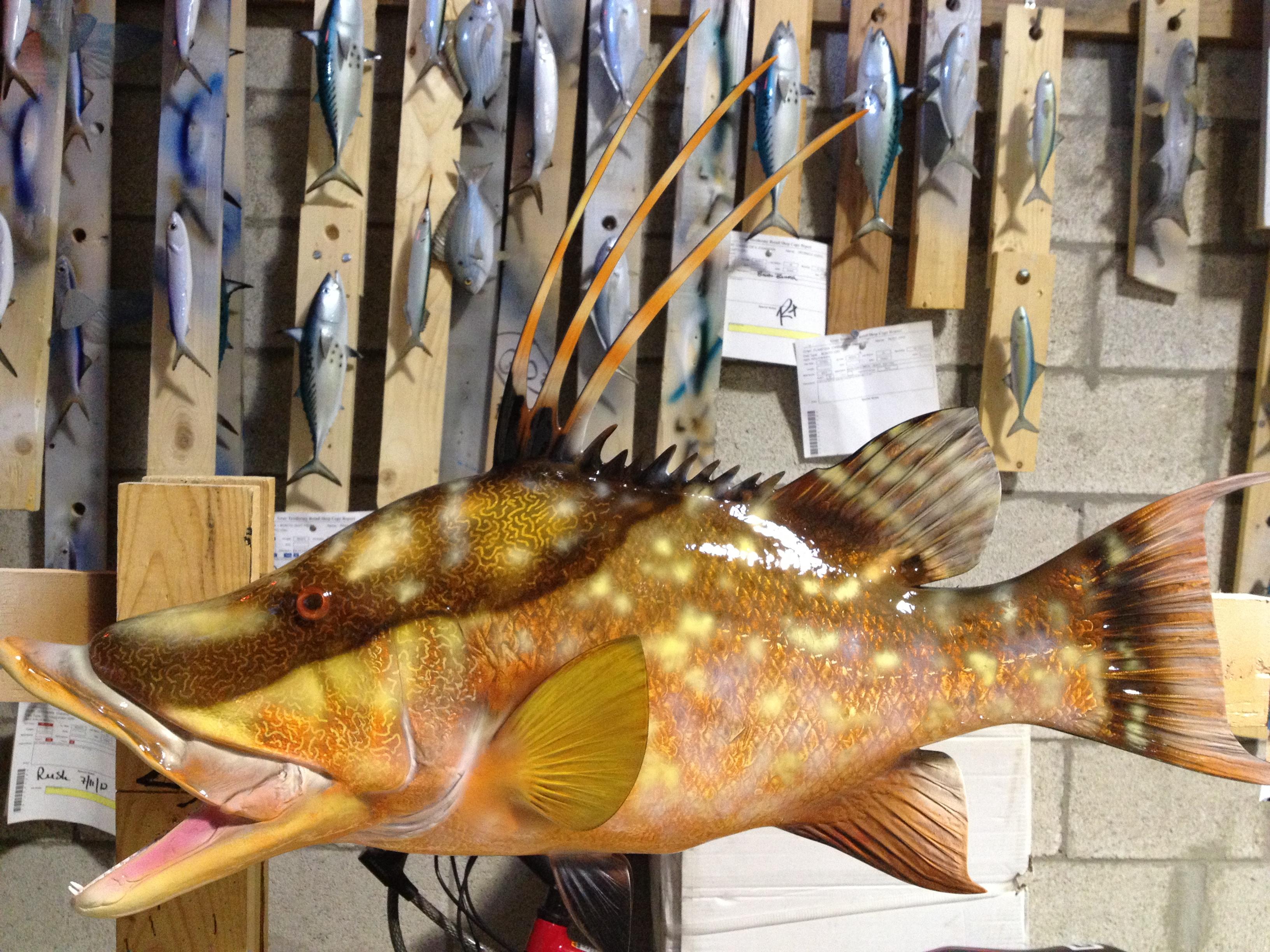Custom hogfish mount