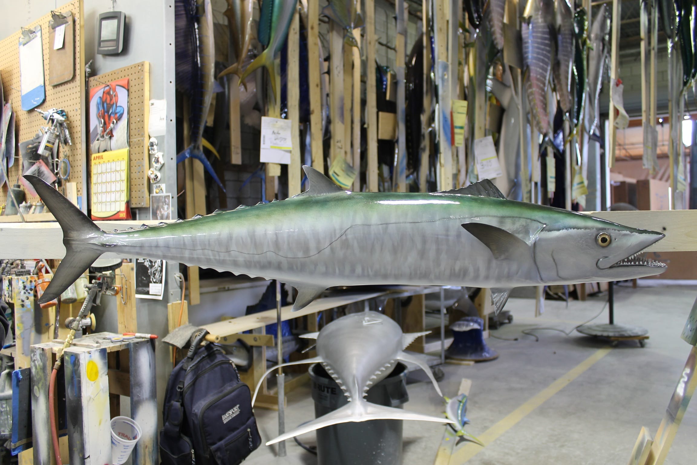 Custom kingfish mount