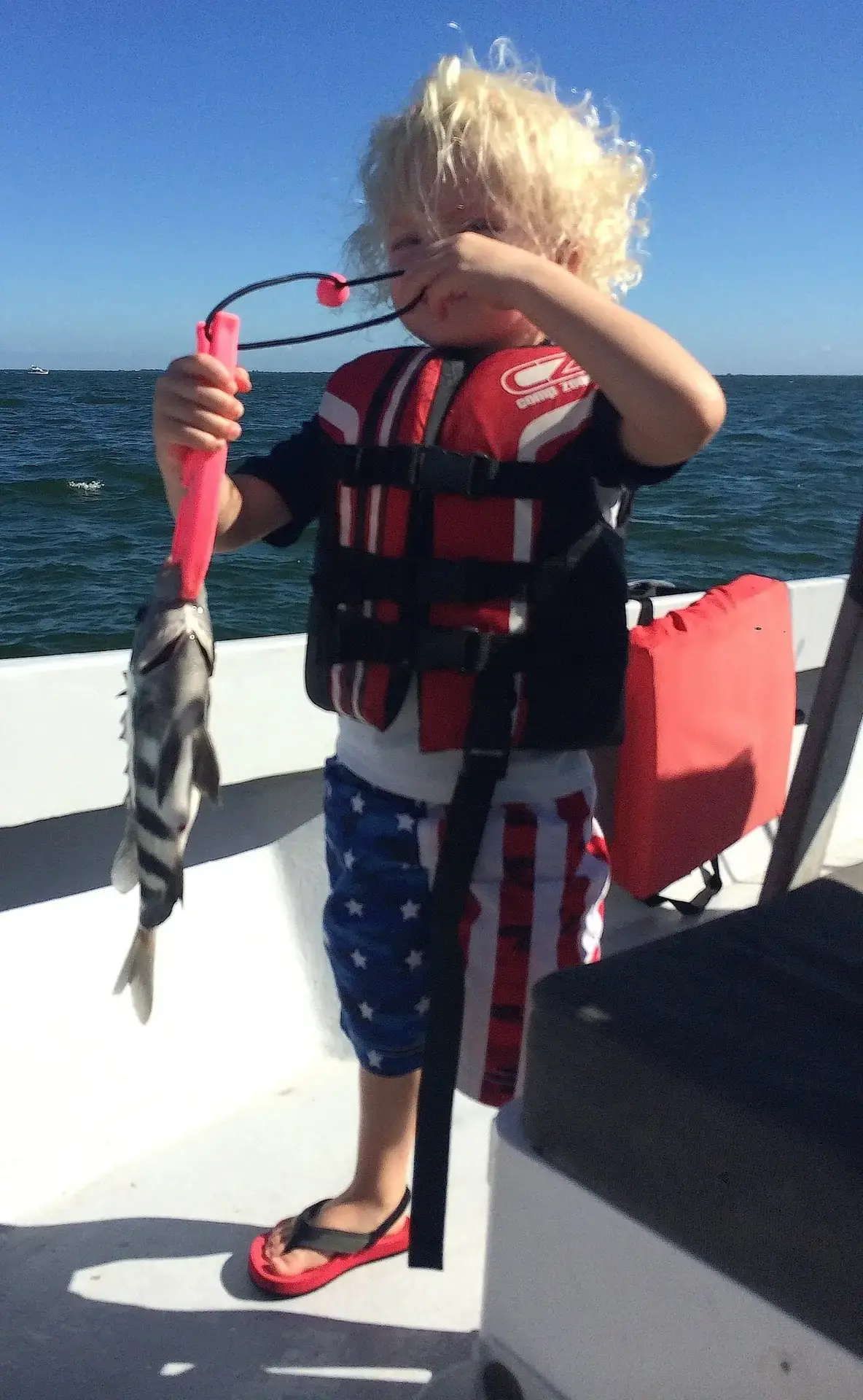 Sheepshead, 12-5-14, Sanibel Fishing & Captiva Fishing & Fort Myers Fishing Charters & Guide Service.