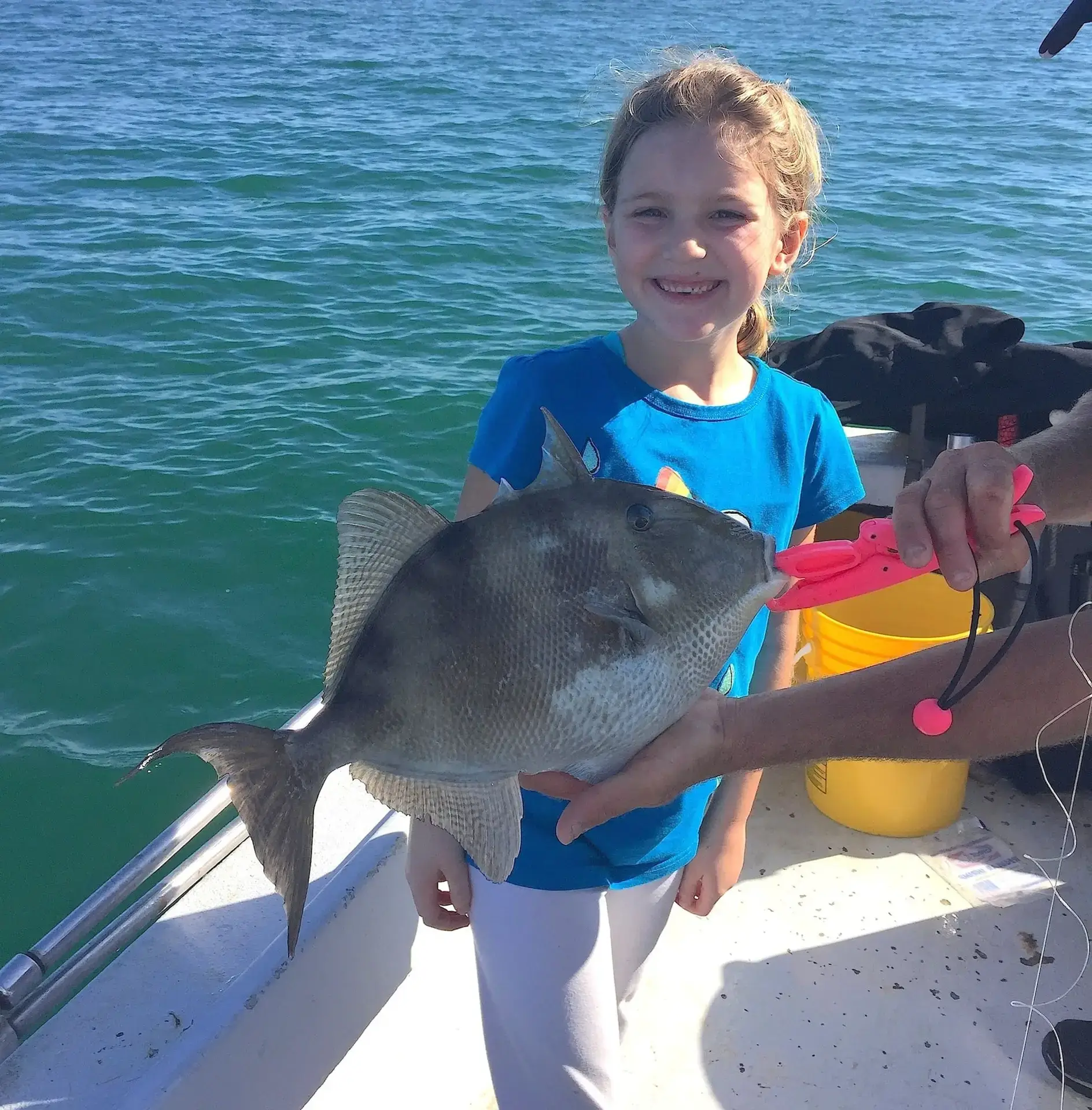 Triggerfish, 12-30-14, Sanibel Fishing & Captiva Fishing & Fort Myers Fishing Charters & Guide Service.