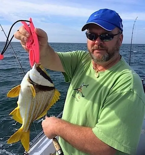Porkfish, 1-14-15, Sanibel Fishing & Captiva Fishing & Fort Myers Fishing Charters & Guide Service.