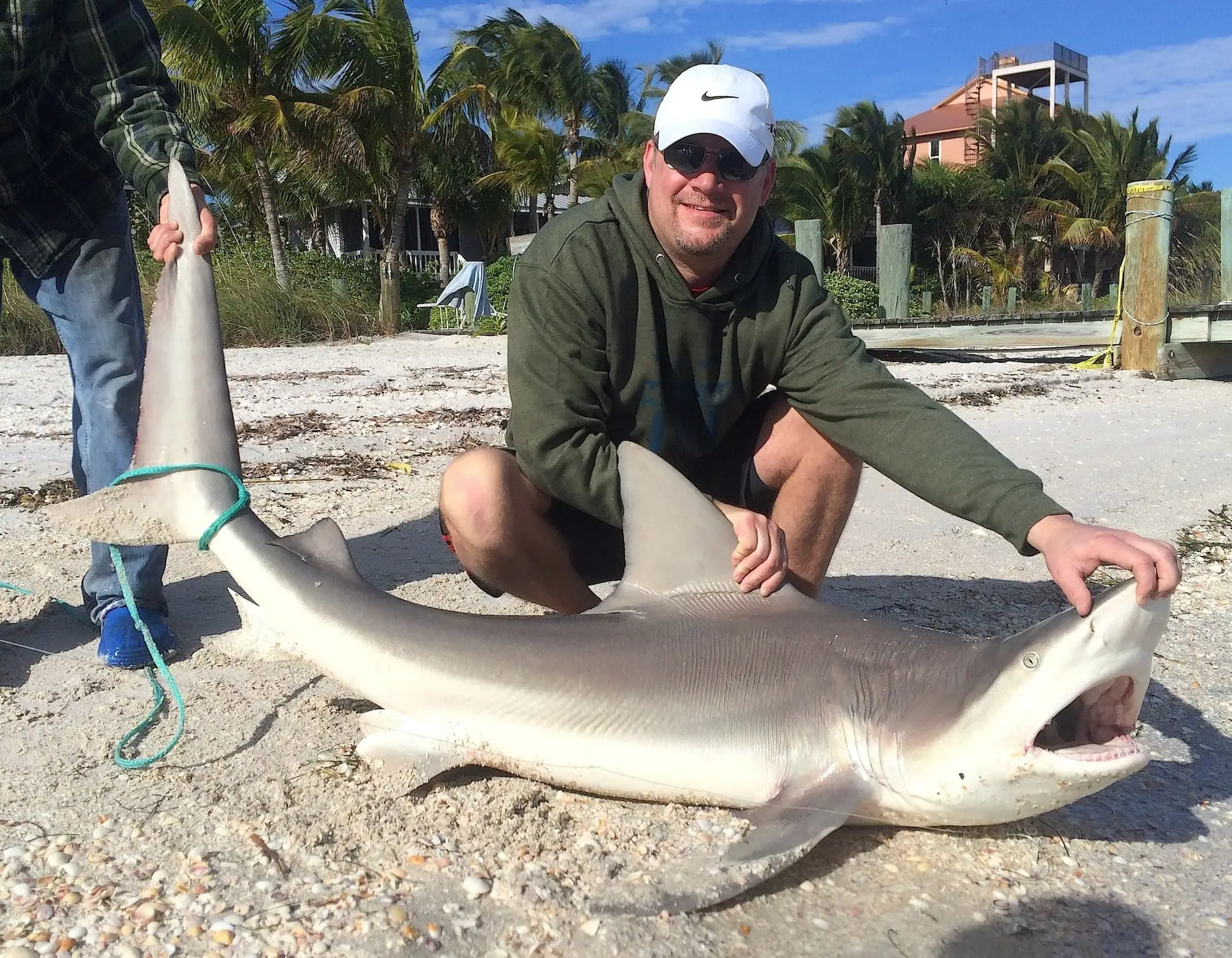 Sandbar Shark, 1-18-15, Sanibel Fishing & Captiva Fishing & Fort Myers Fishing Charters & Guide Service.