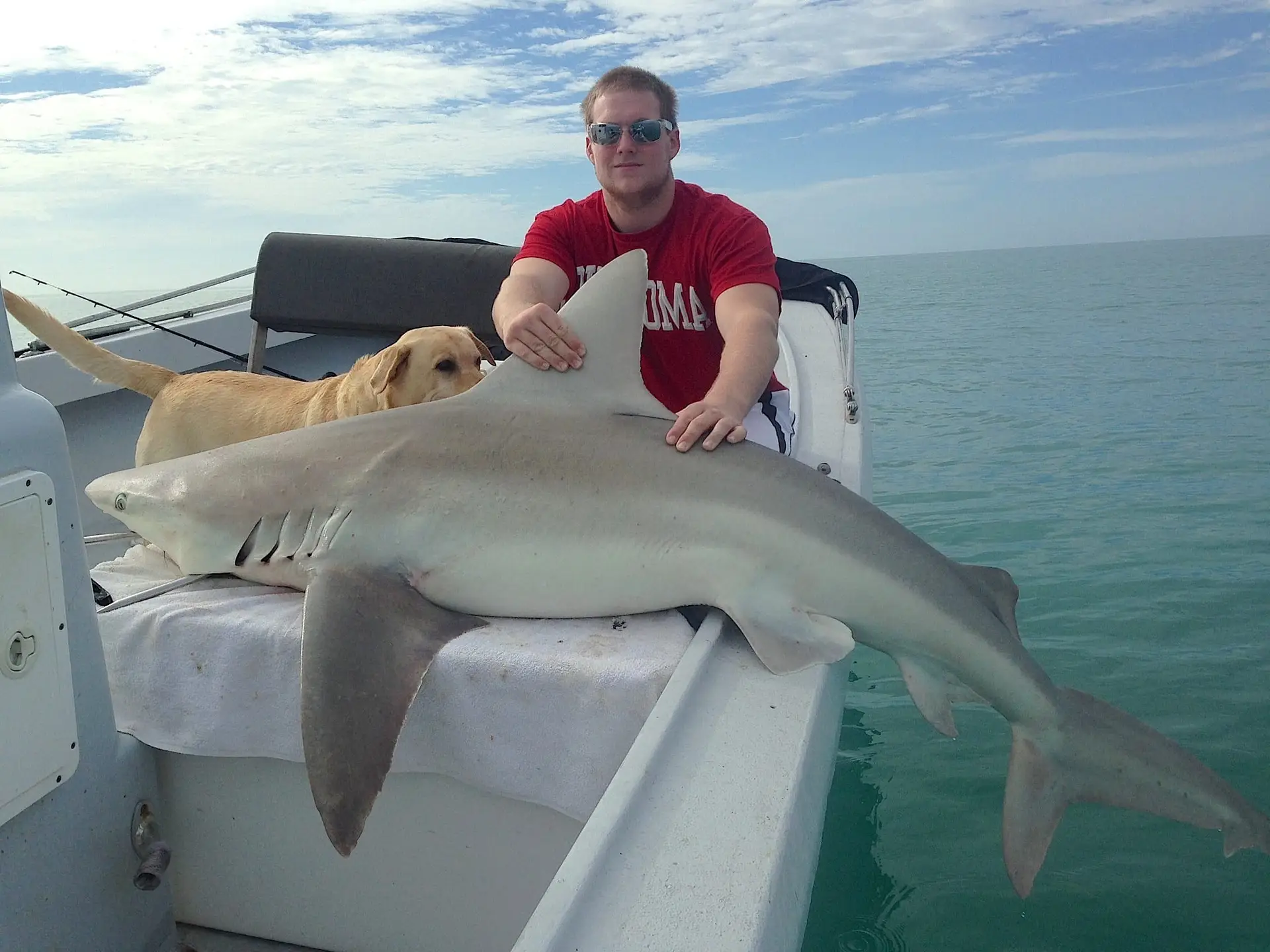 Bull Shark, 2-2-15, Sanibel Fishing & Captiva Fishing & Fort Myers Fishing Charters & Guide Service.