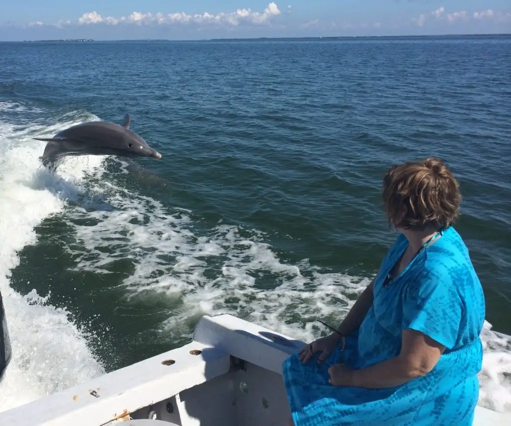 Captiva Fishing, Dolphins Jumping In Blind Pass, 3-31-15, Sanibel Fishing & Captiva Fishing & Fort Myers Fishing Charters & Guide Service.
