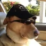 Hank Burnsed, First Mate, Most Of The Time, He Gets A Little Sleepy Like All Old Men, Sanibel Fishing & Captiva Fishing, Sanibel Island, Monday, May 22, 2017.