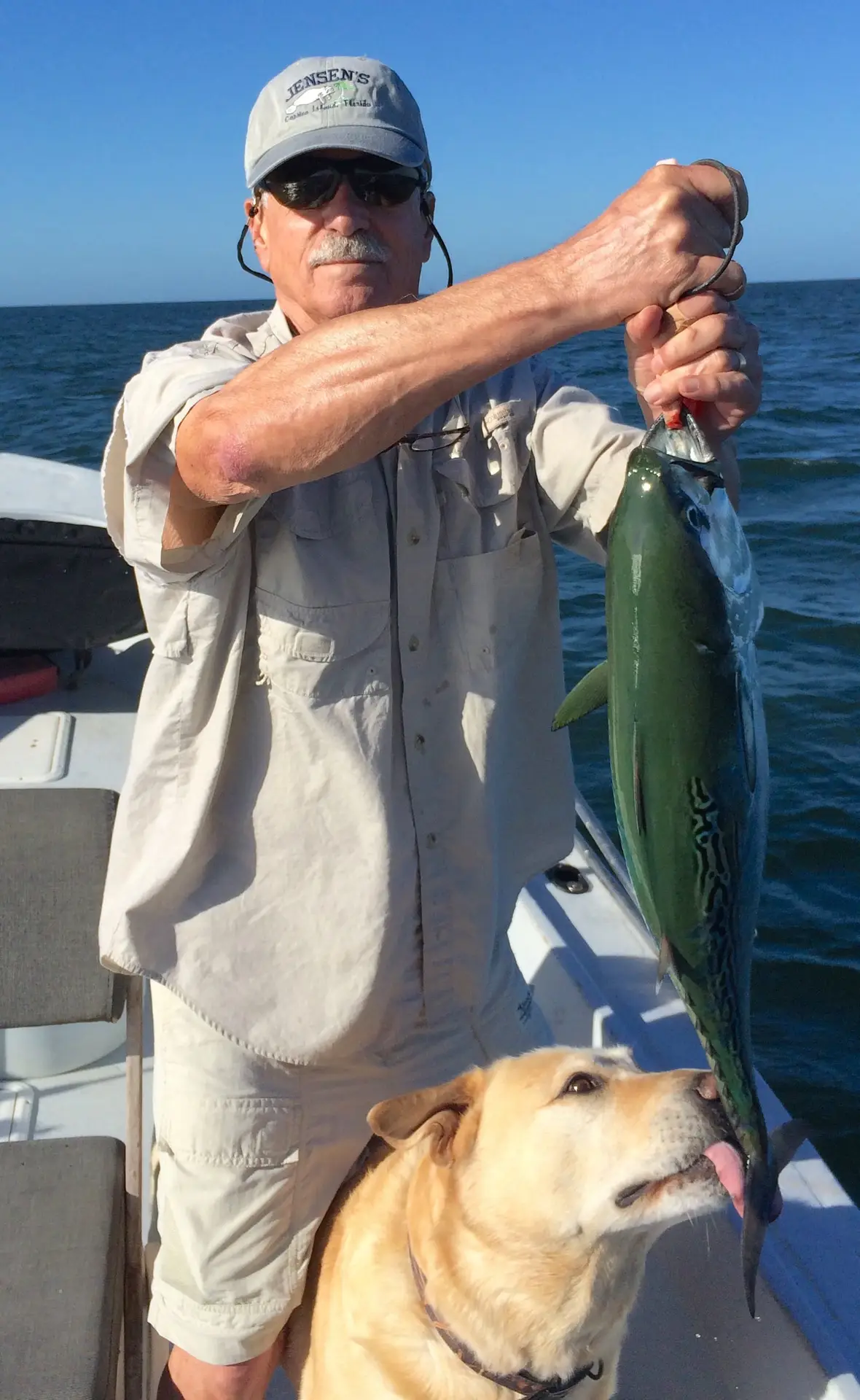 False Albacore Tuna, Bonita, Captiva Pass, Sanibel Fishing & Captiva Fishing, Tuesday, 10-20-15 ~ #Sanibel #Captiva.