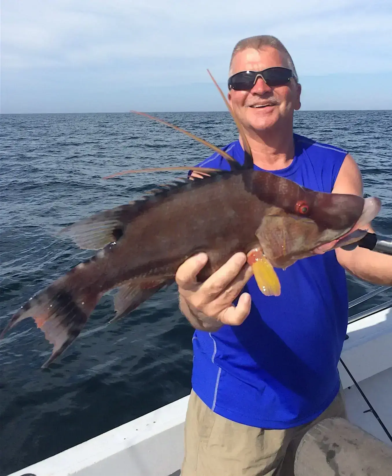 Hogfish, Offshore, Sanibel Fishing & Captiva Fishing, Thursday, 12-17-15 ~ #Sanibel #Captiva.