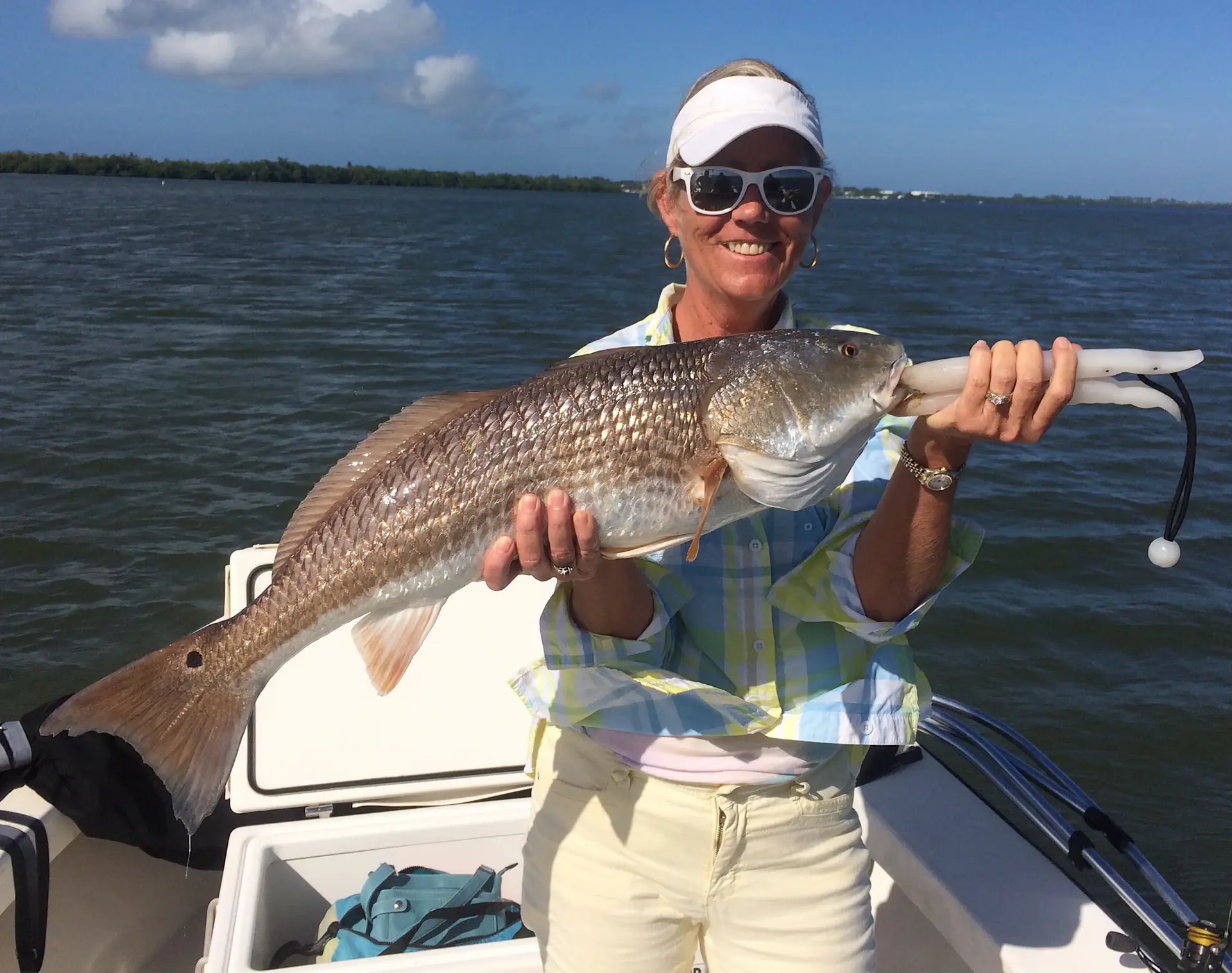 Redfish, Oyster Bars, Sanibel Fishing & Captiva Fishing, Thursday, 12-31-15 ~ #Sanibel #Captiva.