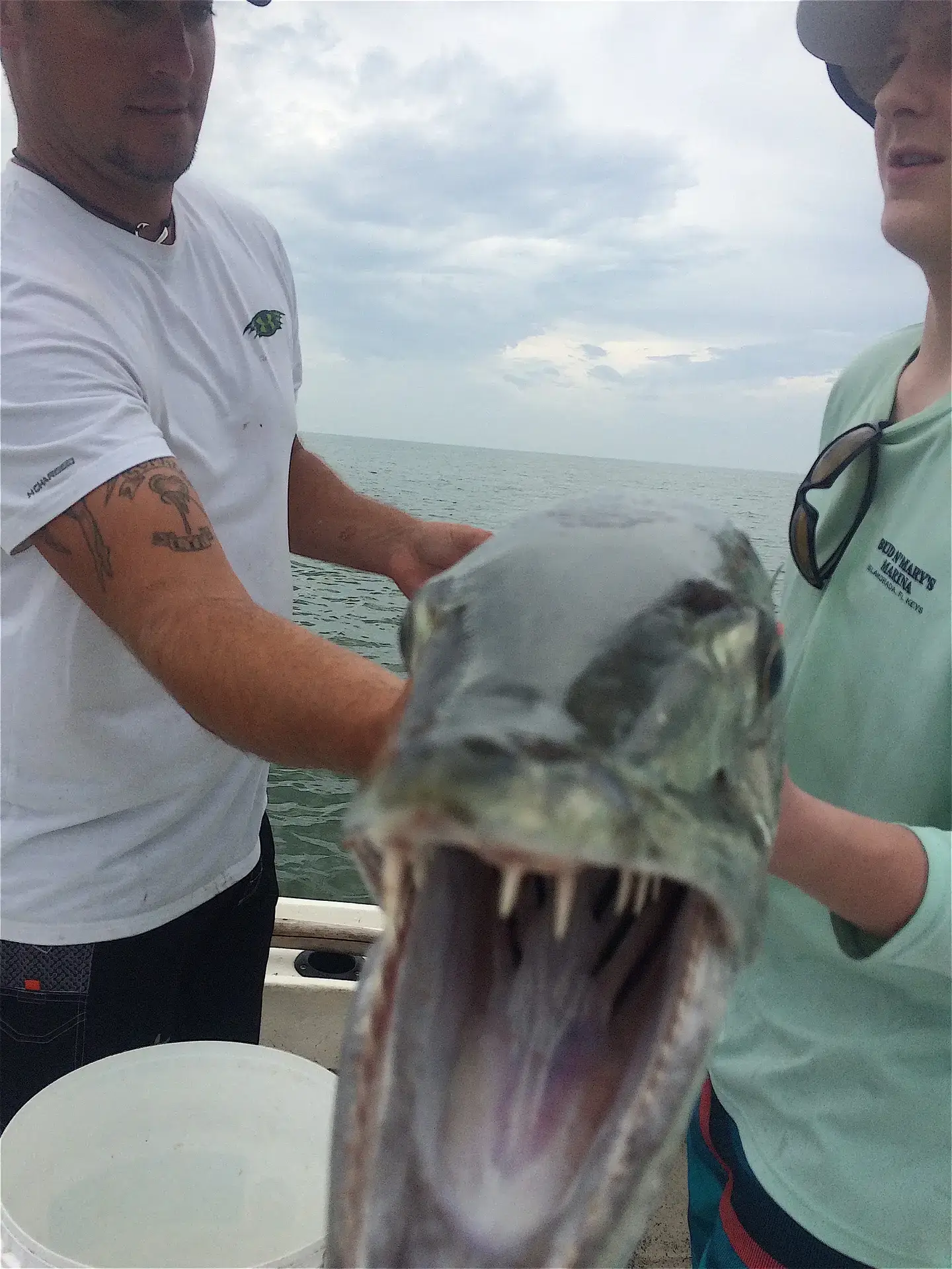 Barracuda, Offshore, Captain Jim Burnsed's Boat, Sanibel Fishing & Captiva Fishing, Wednesday, March 30, 2016 ~ #Sanibel #Captiva.