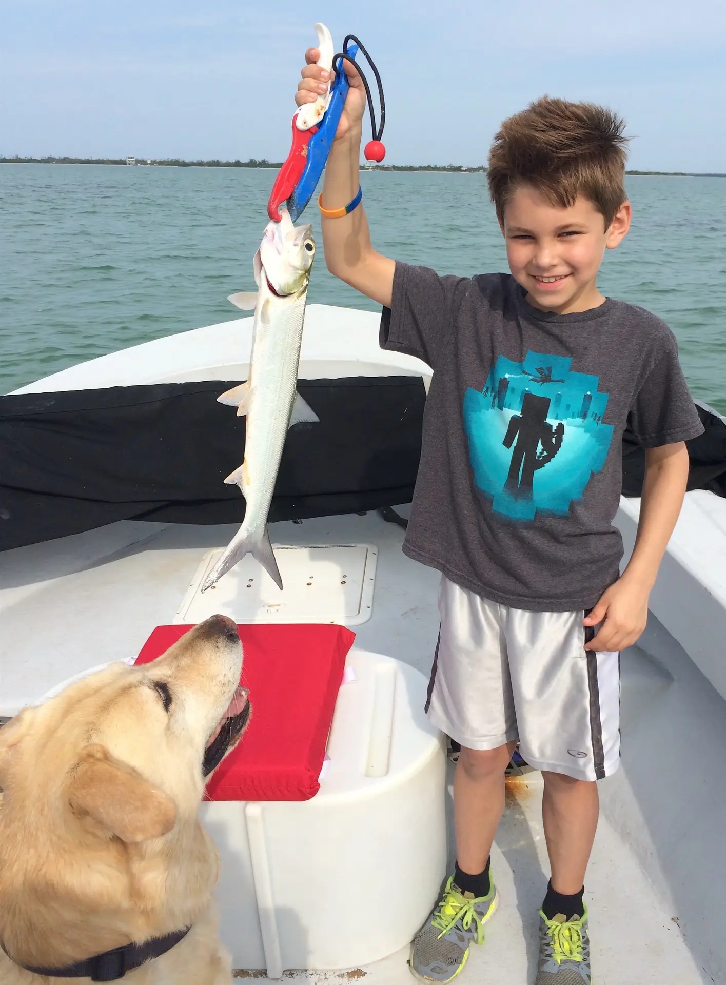 Ladyfish, Inshore Passes, Sanibel Fishing & Captiva Fishing, Wednesday, March 23, 2016 ~ #Sanibel #Captiva.