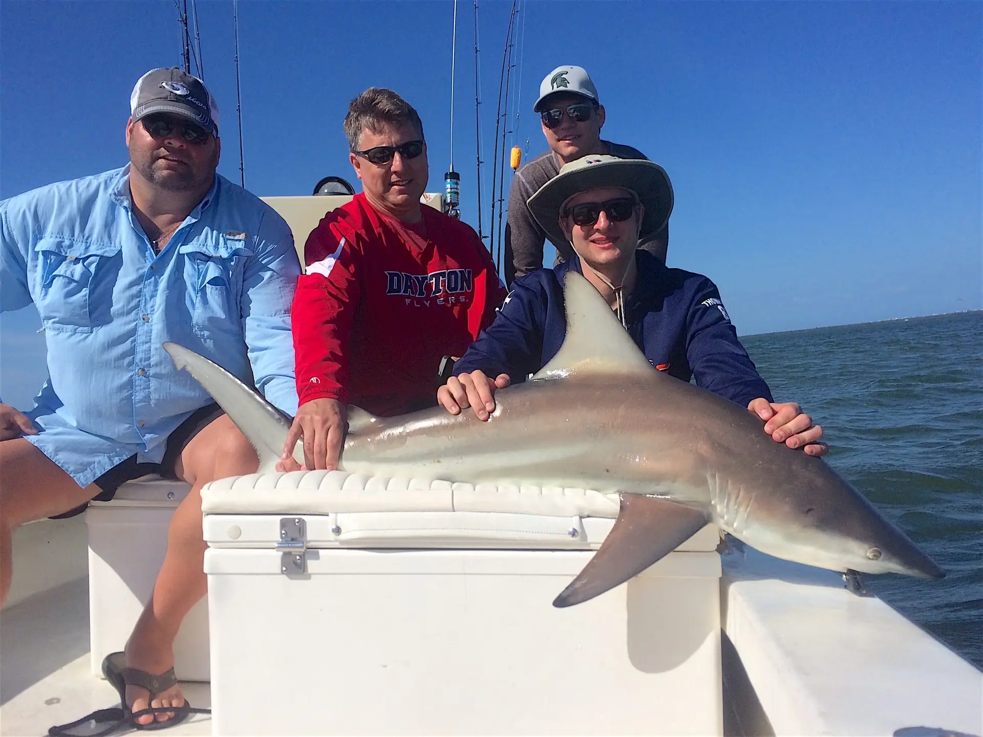 Big Blacktip Shark, Inshore, Sanibel Fishing & Captiva Fishing, Saturday, April 9, 2016 ~ #Sanibel #Captiva.