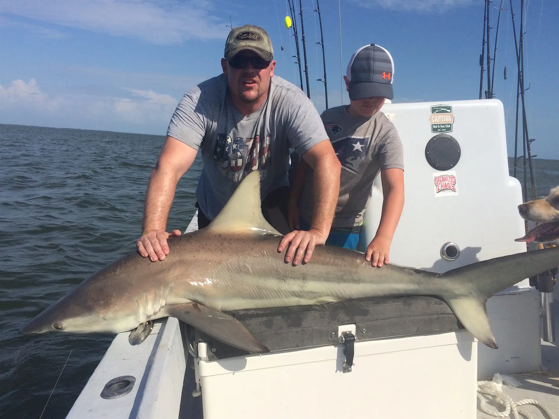 Sharks, Catch & Release, Sanibel Fishing & Captiva Fishing, Saturday, April 23, 2016.
