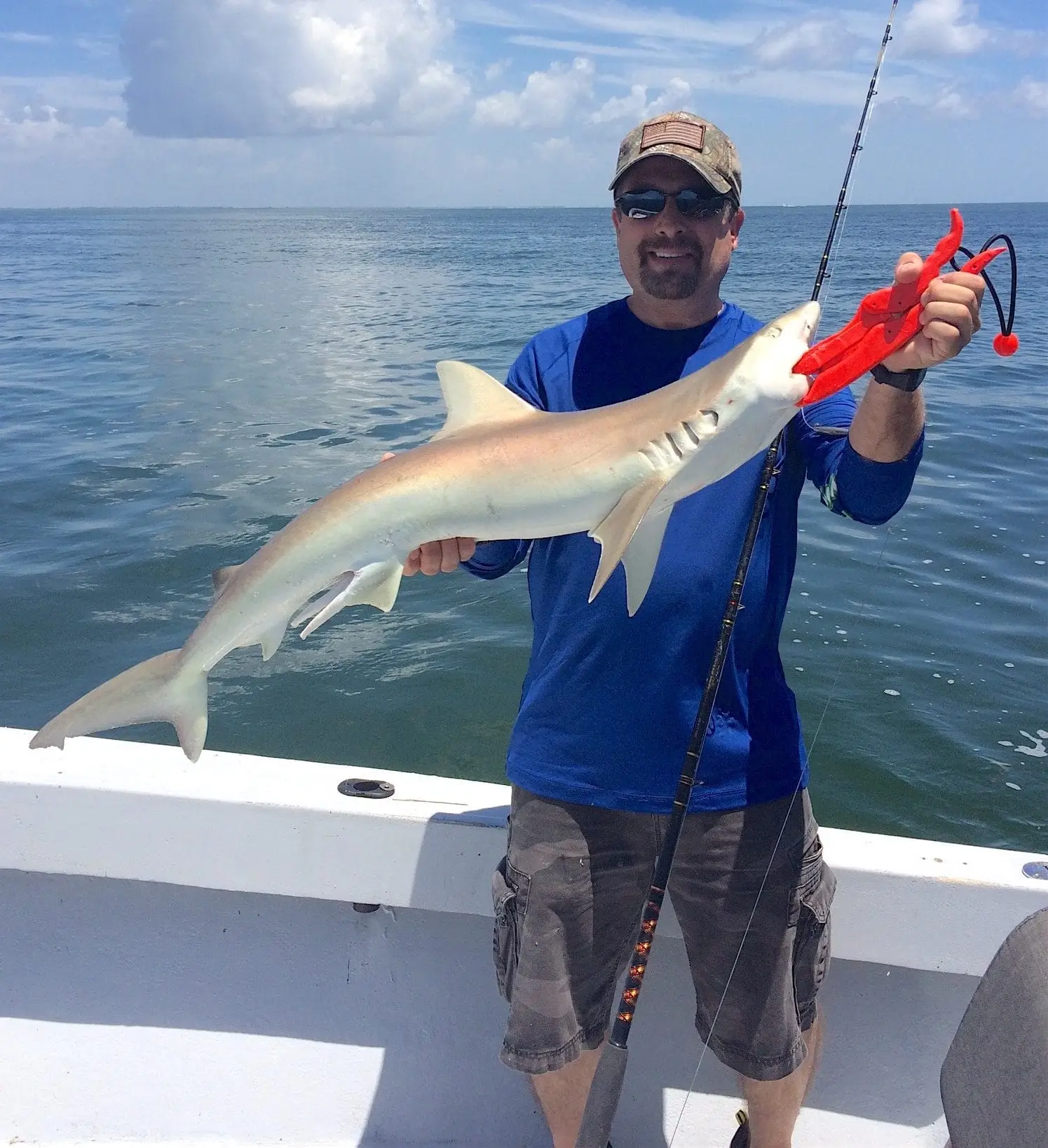 Blacknose Shark, Sanibel Fishing & Captiva Fishing, Tuesday, July 12, 2016.