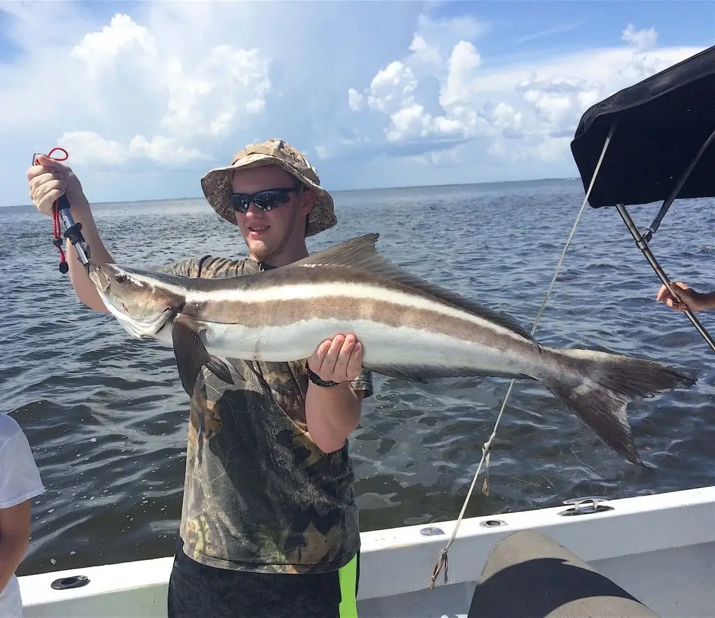 Cobia Fishing, Sanibel Fishing & Captiva Fishing, Sanibel Island, Friday, May 12, 2017.